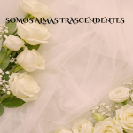 Somos Almas Trascendentes